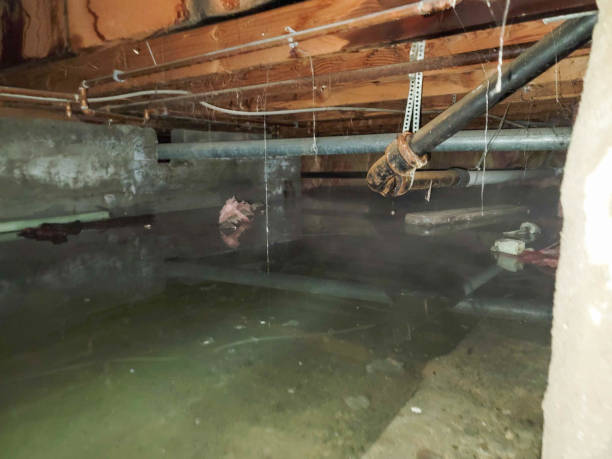 Best Emergency water damage restoration  in Tarrytown, NY
